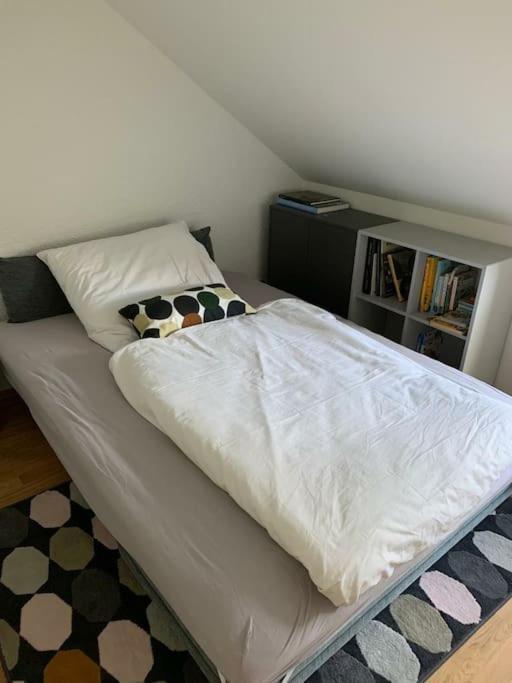 Wohnung Mit Einer Sauna Direkt Am Park ヴィースバーデン エクステリア 写真