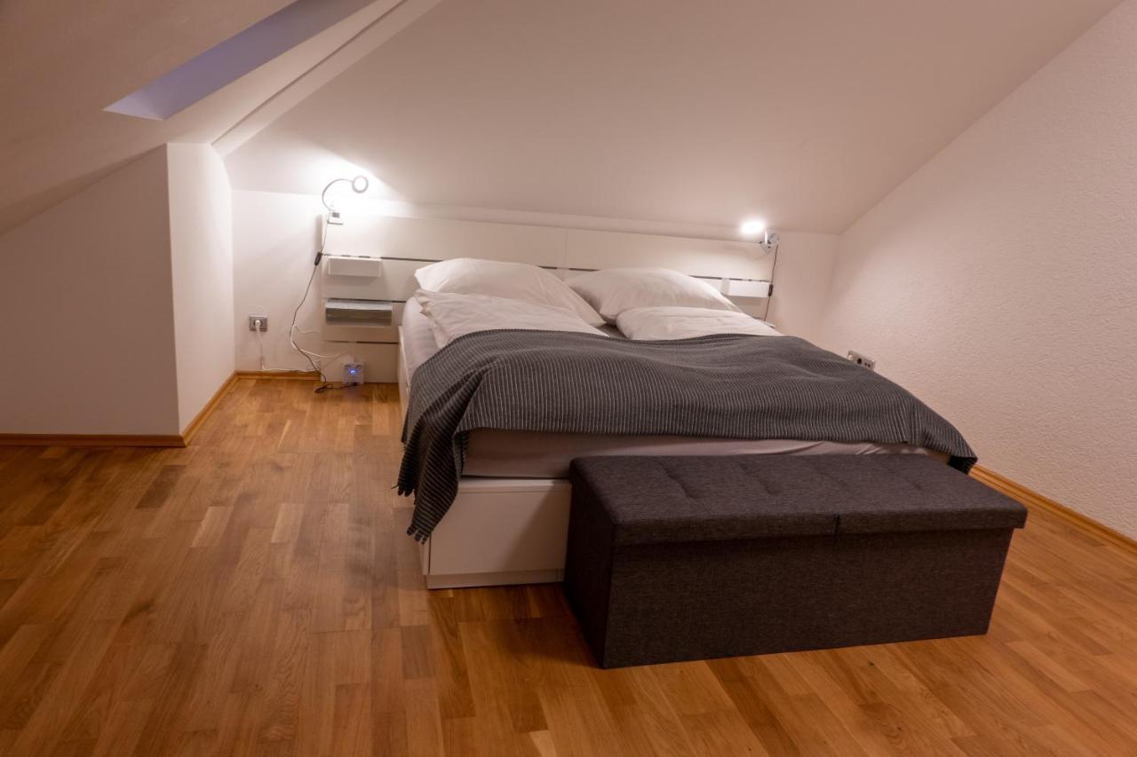Wohnung Mit Einer Sauna Direkt Am Park ヴィースバーデン エクステリア 写真