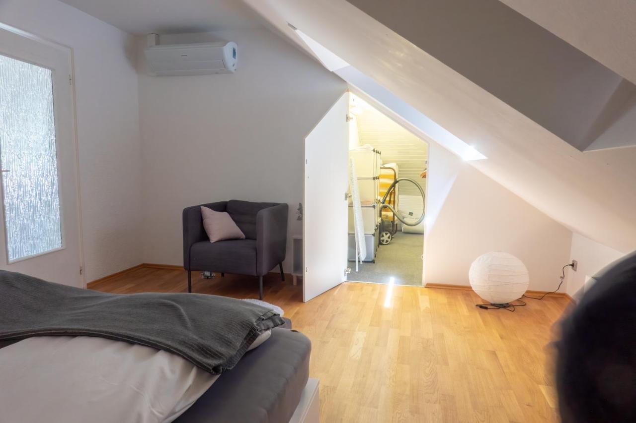 Wohnung Mit Einer Sauna Direkt Am Park ヴィースバーデン エクステリア 写真